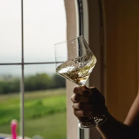 Zlatni Prag - Kraljevo